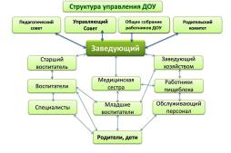 органы управления